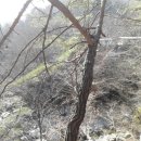 합수농장 이미지