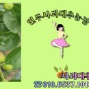 세중농장 이미지