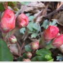 금구초교 이미지