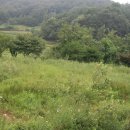 전의농장 이미지