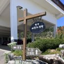 펜션 바닷가 뜨락 | [강화] 바닷가뜨락 펜션 수영장 펜션 자수정방 후기