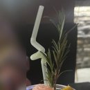 원남로-2 이미지