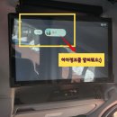 장호원유치원 | 어린이집 유치원 재롱 발표회 졸업 입학 기념일 꽃다발 준비 이천 감성 꽃집 꽃피는날에