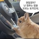 혜정식육 | 백수생활 브이로그) 3월의 이모저모1
