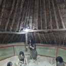 숲해설가와 떠나는 가을 숲 나들이 - 금정산 숲길 탐방 | 2026년 봄 가족 나들이 암사동 유적지 탐방 후기