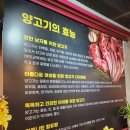 용성 양꼬치 네이버블로그