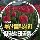 매리생태공원(야구장공원) | 지금 꼭 가야 할 부산 튤립 명소 화명생태공원, 수선화 보러 가기 전 필독!