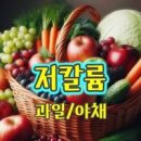 투석 환자음식 원인 신장 투석환자 신장투석 시간 이미지