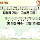 새로운 비전