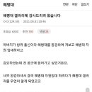 해병대 갤러리의 순기능 이미지