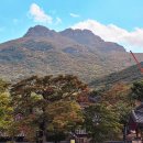 남산토종닭농장 | 물감자, 땅 끝, 해남에 반하다.