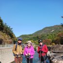 소선암자연휴양림 이미지