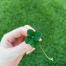 우연공조 이미지