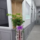 에스케이한솔플러스수학학원