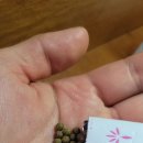 예담한약국 이미지