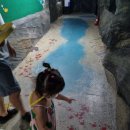 무태메기매운탕 | 대전 보문산 아쿠아리움*수달 먹이주기 체험 대전 아이와 가볼 만한 곳