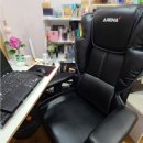 아레나X PC 이미지