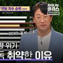 7g에 55만 원 주고 사와야 하는 것? 우리의 식량 안보를 취약하게 하는 진짜 문제｜차이나는 클라스｜JTBC 이미지