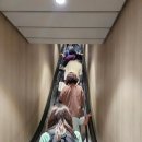 삼천포주유소 | 삼천포에서 제주도 배편 오션비스타호 프리미엄객실 이용팁 편의시설 총정리