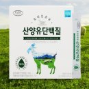 에버그린 쇼핑하우