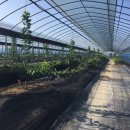 윤지농장 이미지