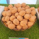 조은농장2 이미지