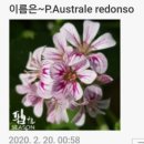 여우비 - 구리시 경춘로 239 | 여우비