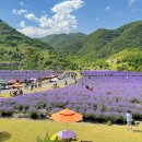 무릉별유천지 진입로 이미지