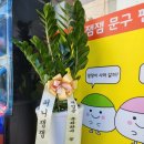 퍼니잼잼 - 김해시 반룡로 63 | 퍼니잼잼