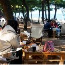 제17회 강릉 커피축제 이미지