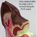 강남동물메디컬센터 이미지
