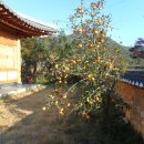 우주민박 이미지