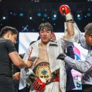 클린히트 이미지