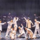 구니스 컴퍼니 <미스테리우스> 이미지