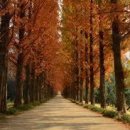 스위스보청기 이미지