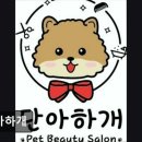 단아하개 이미지