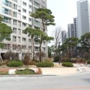 금탑 공인중개사사무소 이미지