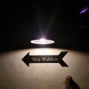 스테이월든 이미지