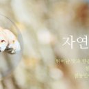 청림농원
