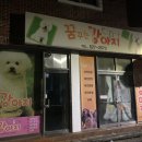 꿈꾸는강아지 이미지