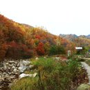 유황천모텔 이미지