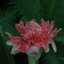 관음사입구 이미지