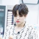 댕댕냥냥 이미지