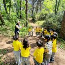 해오름 유아숲체험원 이미지