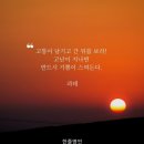 과학기술연구원 맘스터치