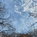 용인자연휴양림 광장 | 용인자연휴양림 잔디광장과 숲속 놀이터