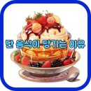 단 이미지