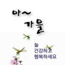 솔지오
