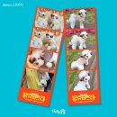 컴밸리스 | [댕슈퍼스타 후기] 🌸봄부터 ⛄겨울까지! 밸리스 의류로 멋짐 뿜뿜!!