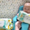 비아르떼 이미지